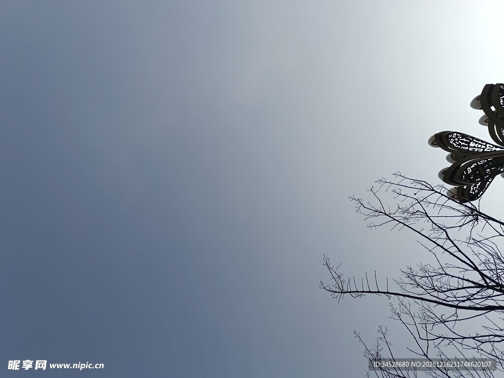 枝头飞鸟与淡蓝天际