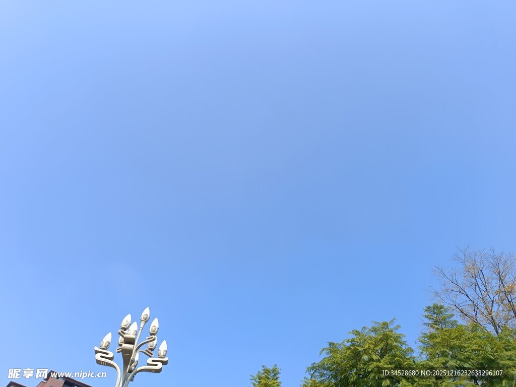 蓝天绿树间的路灯