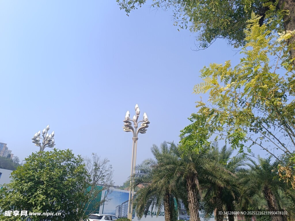 城市中的绿植与景观灯