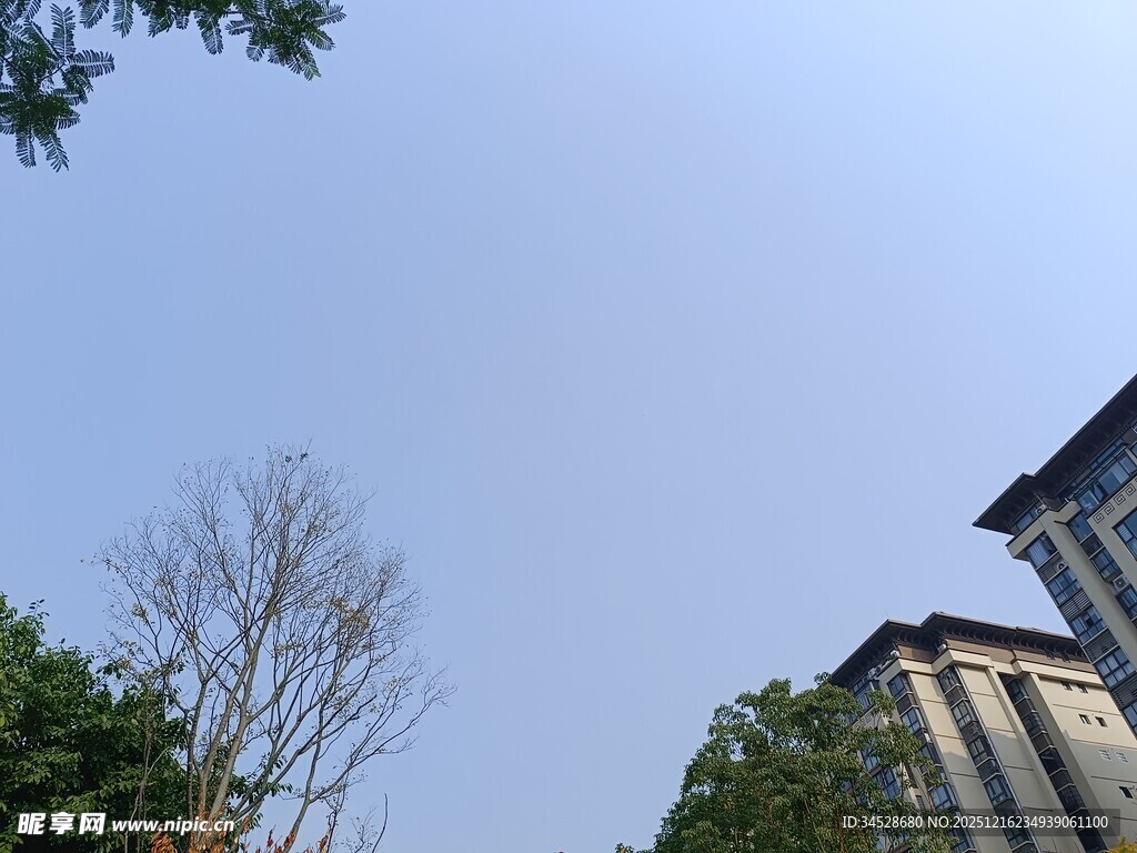 蓝天绿树旁的建筑