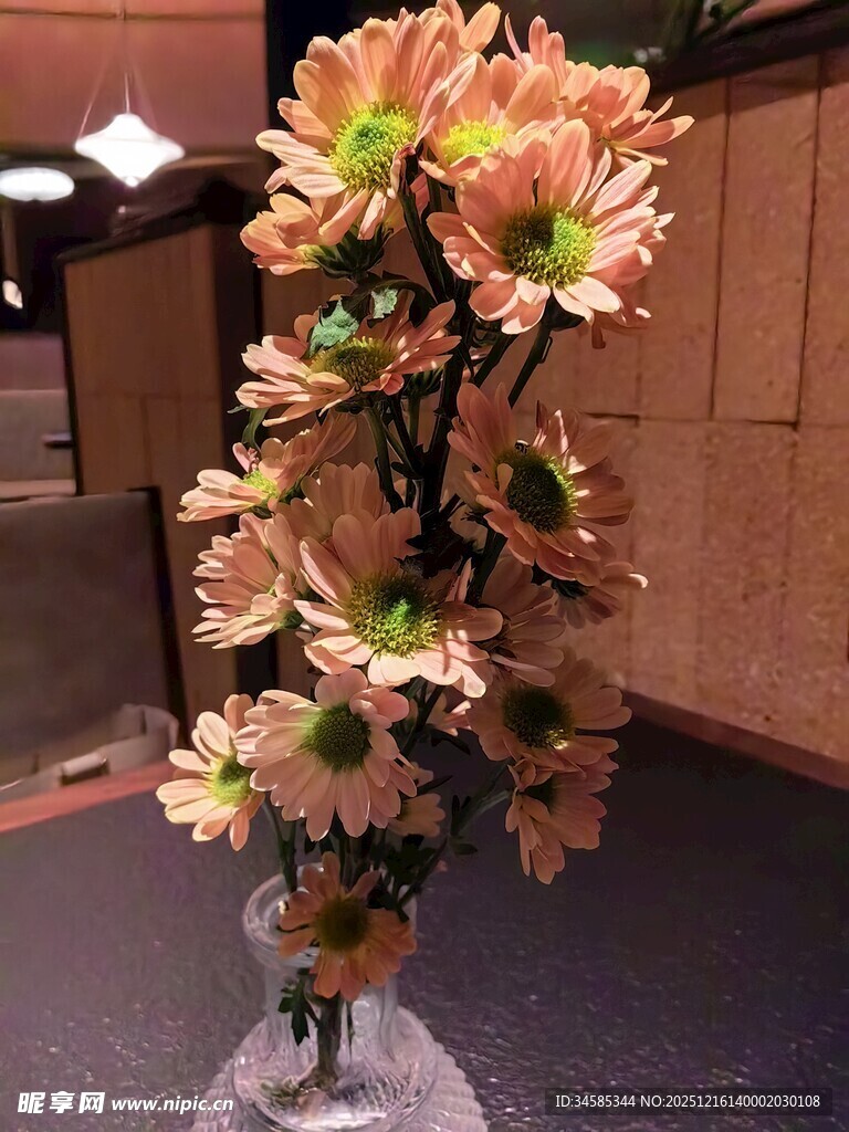 粉色菊花插花特写