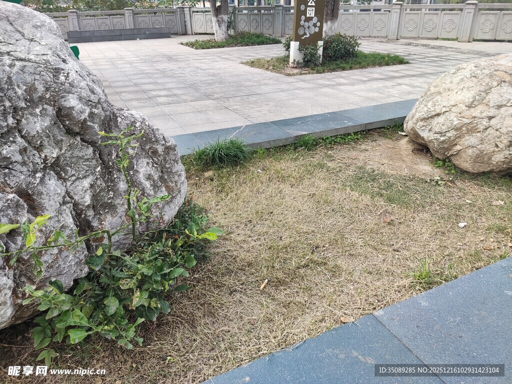 户外草地旁的岩石景观