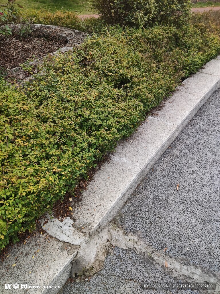 路边绿植与破损路缘石