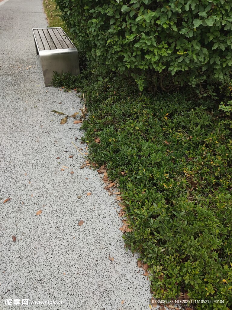 路边长椅旁的绿植景观