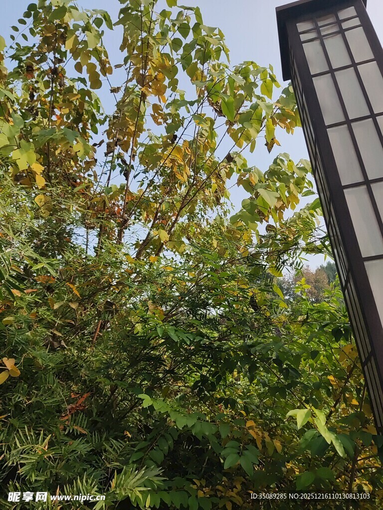 户外绿植旁的黑色灯柱