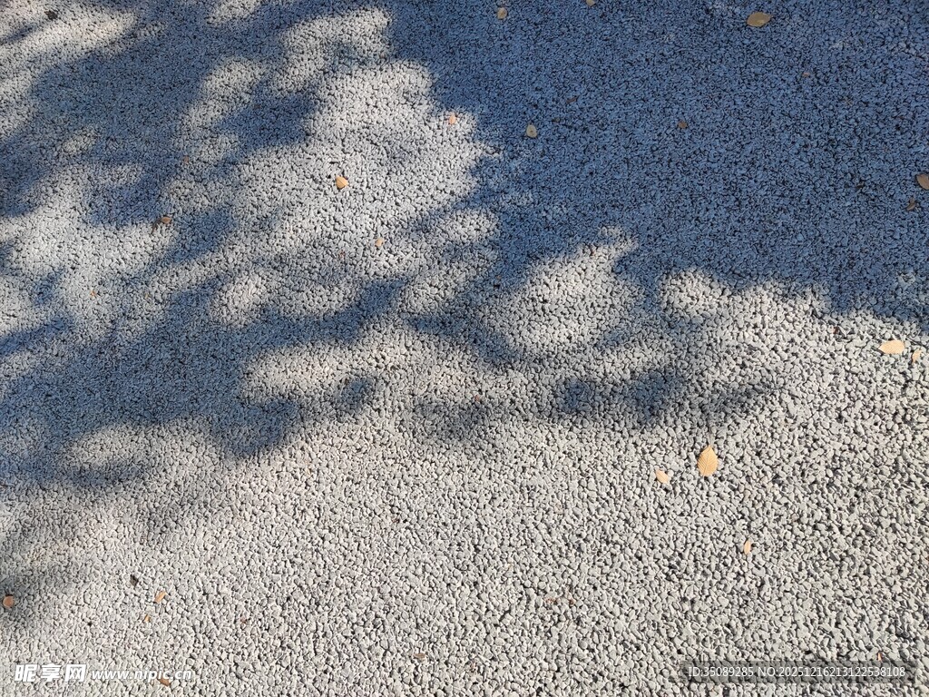 地面上斑驳的树影