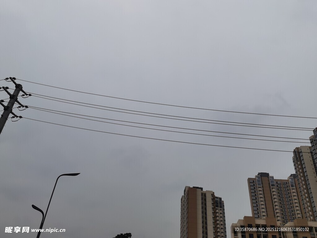 城市上空的电线与高楼