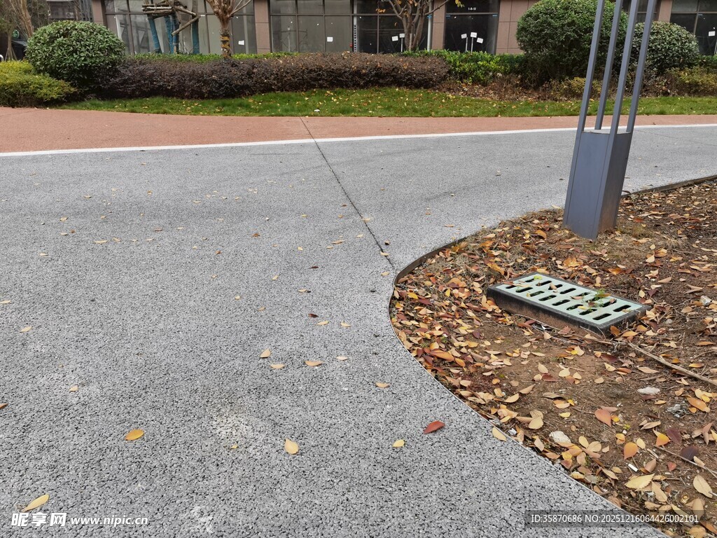 路边树基处的金属格栅