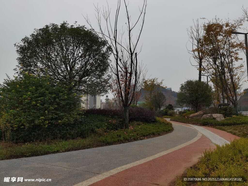 城郊蜿蜒小路旁绿植景观