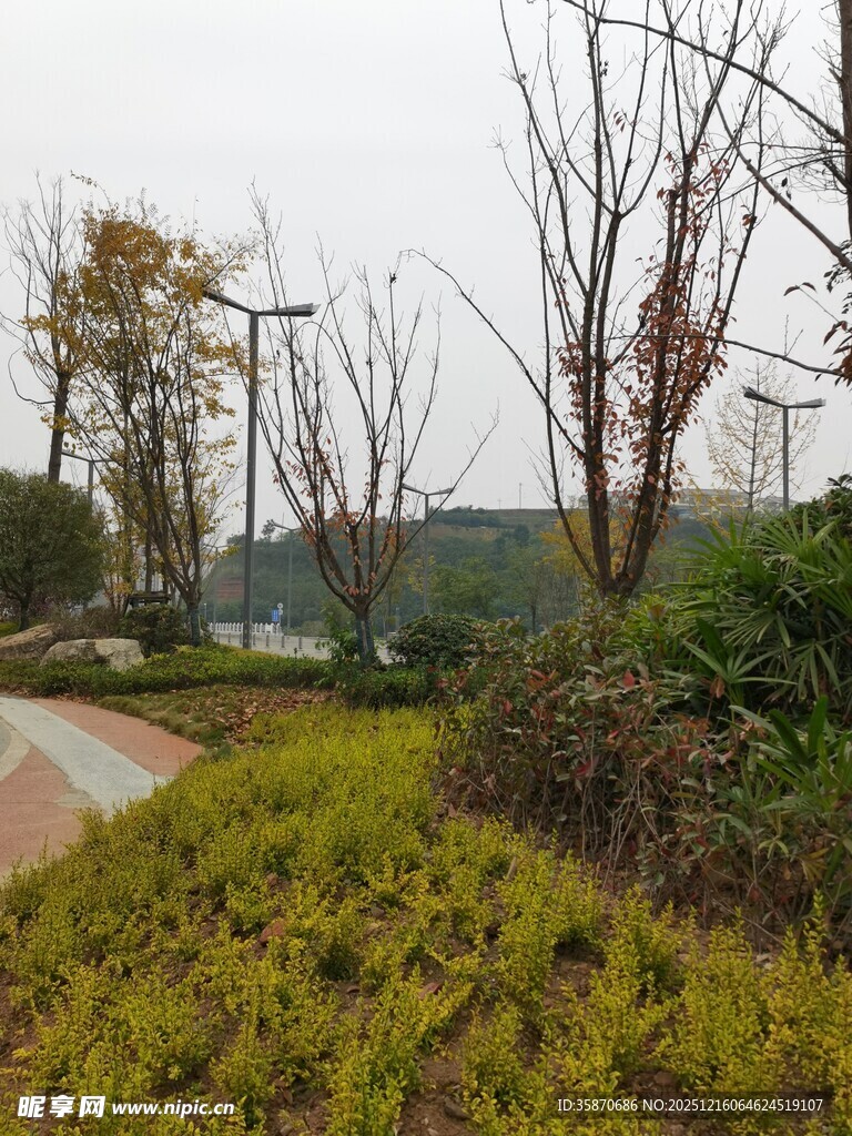 城市中的绿意小径