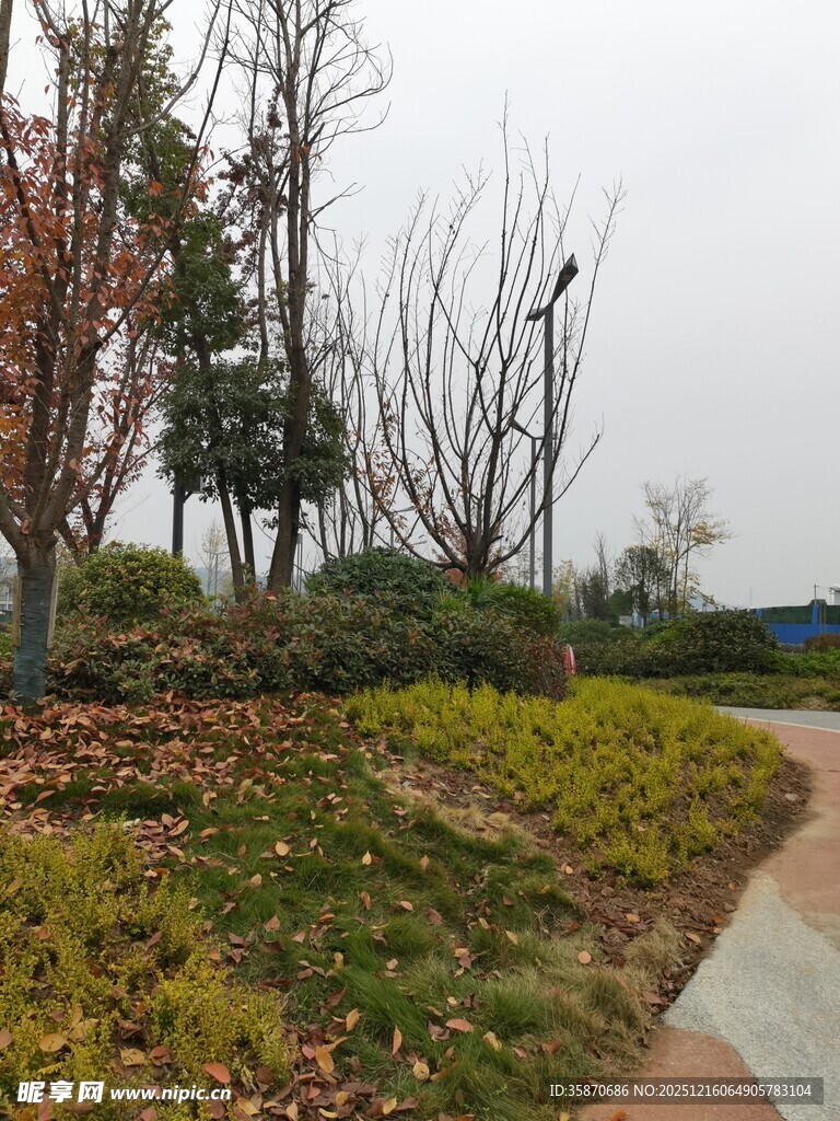 秋日公园小径景观