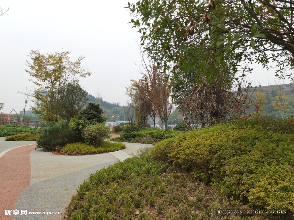 城市中的静谧绿化小径