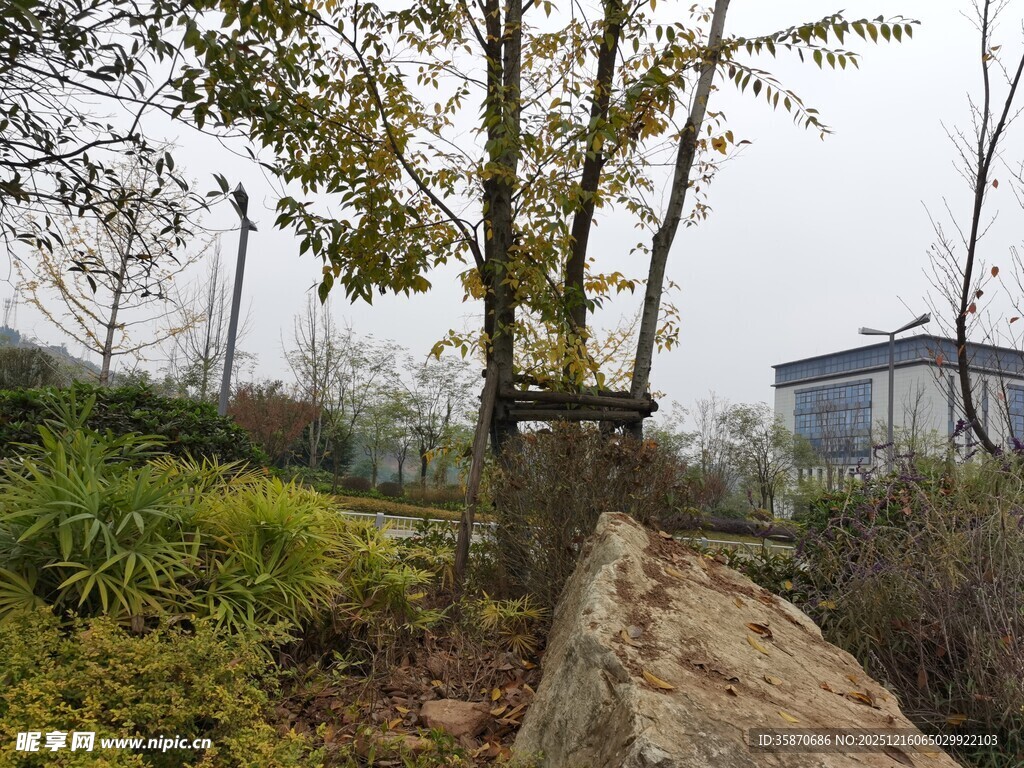 城市中的自然角落景观