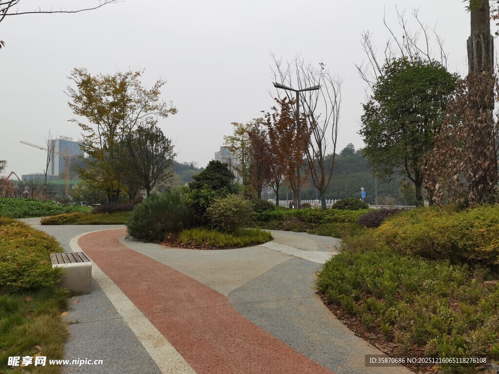 城市公园中的多彩步道景观
