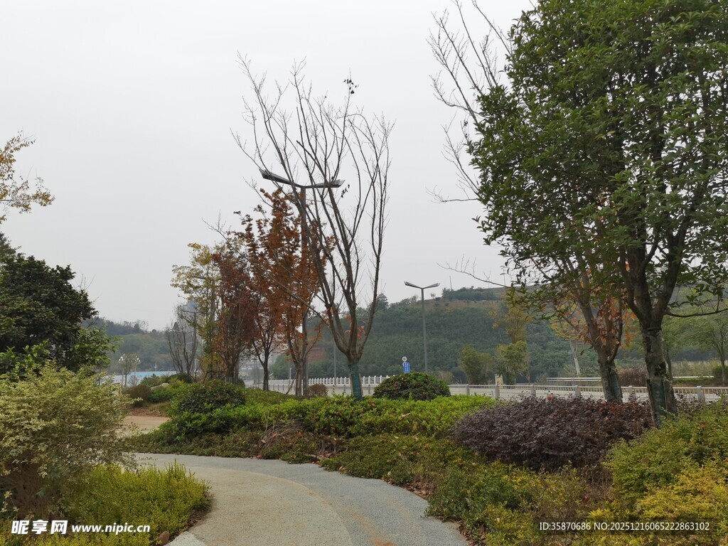 林间小径自然景致