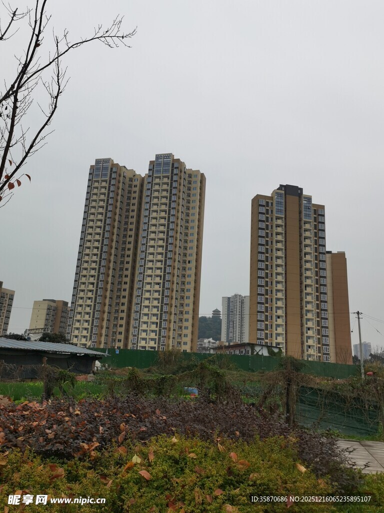 城市高楼与河畔景致