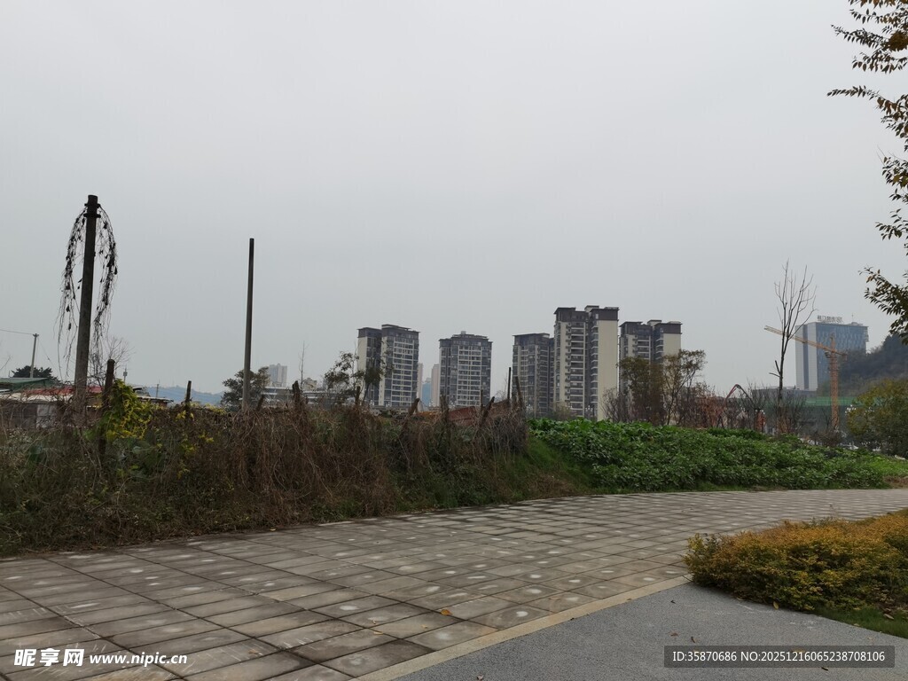 城郊景观远处高楼与绿植