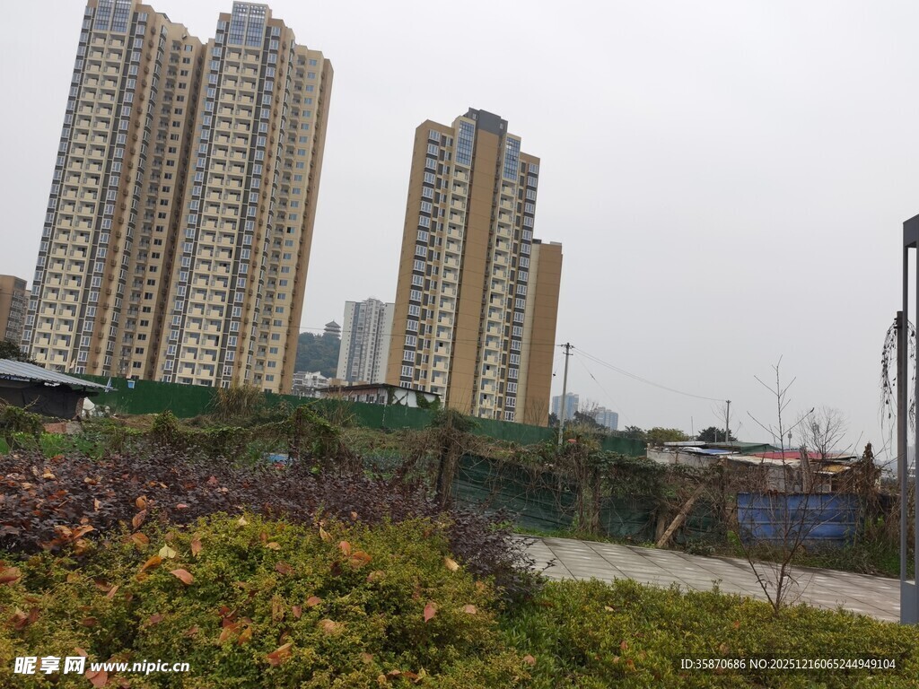 城市高楼与绿植景观