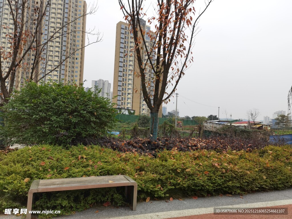 城市公园中的长椅与绿植