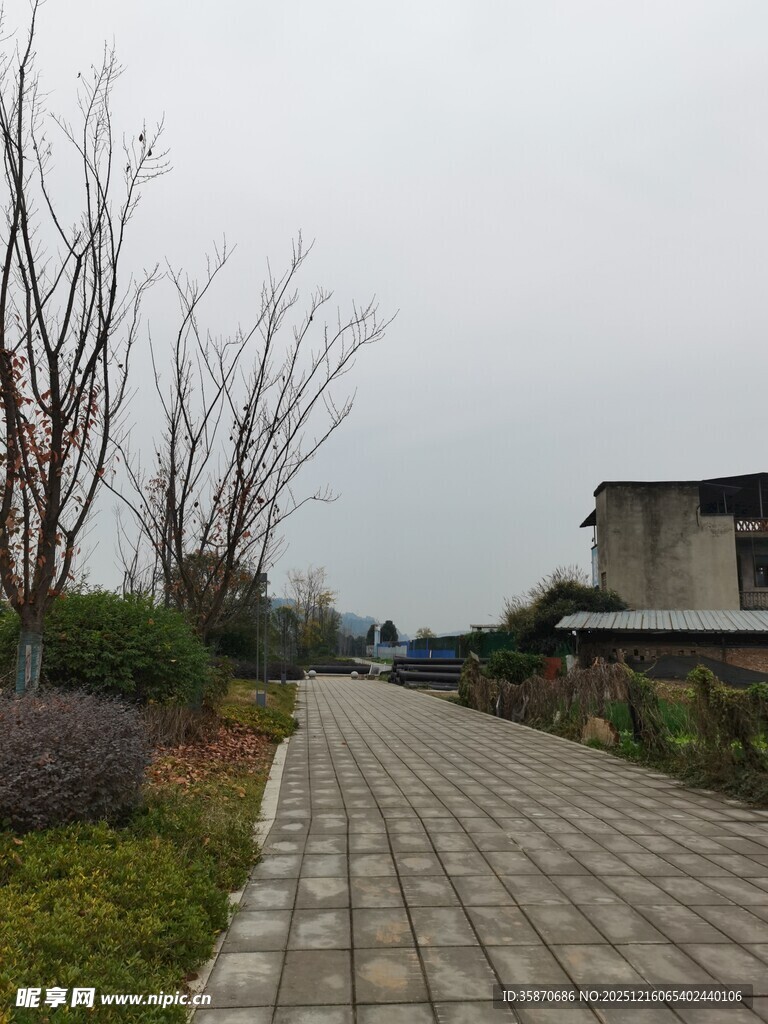 乡间砖石小径静谧风光