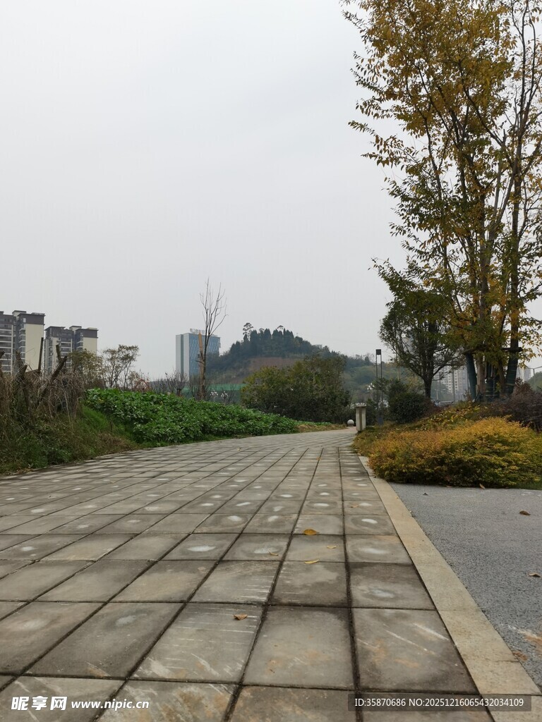 城市中的砖石铺就林荫步道