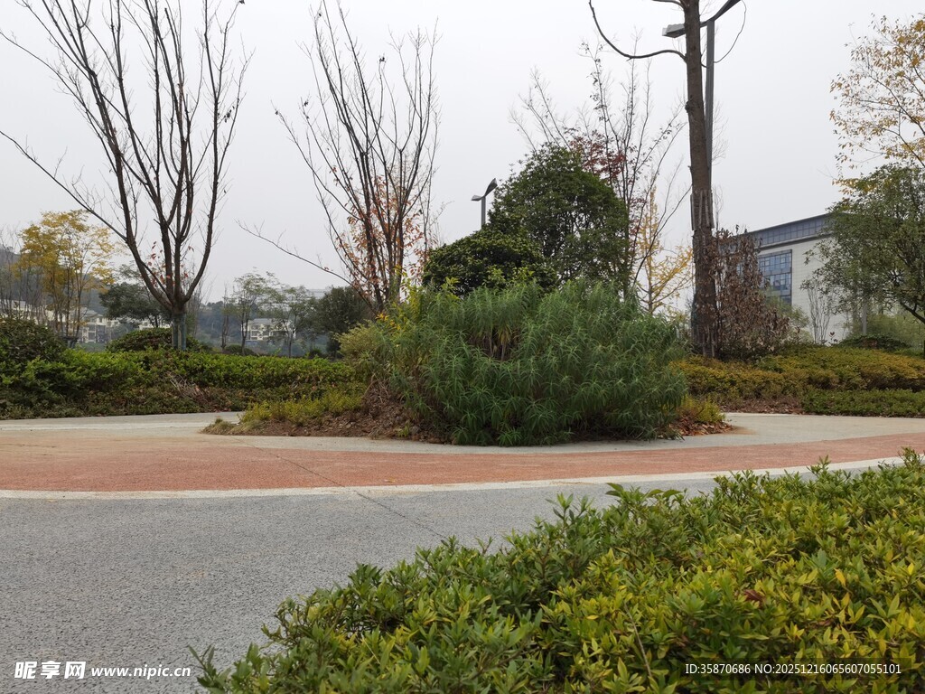 城市道路旁的绿植景观