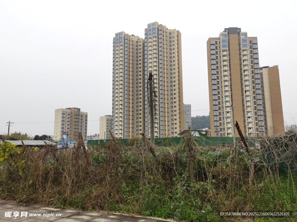 城郊高楼与荒草景观