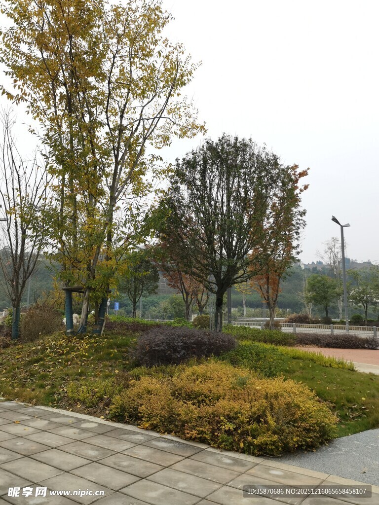 城市公园秋日景观一角