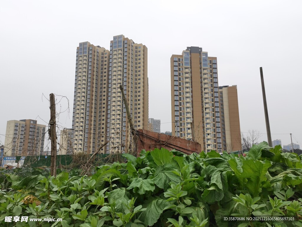 高楼旁的绿植景观