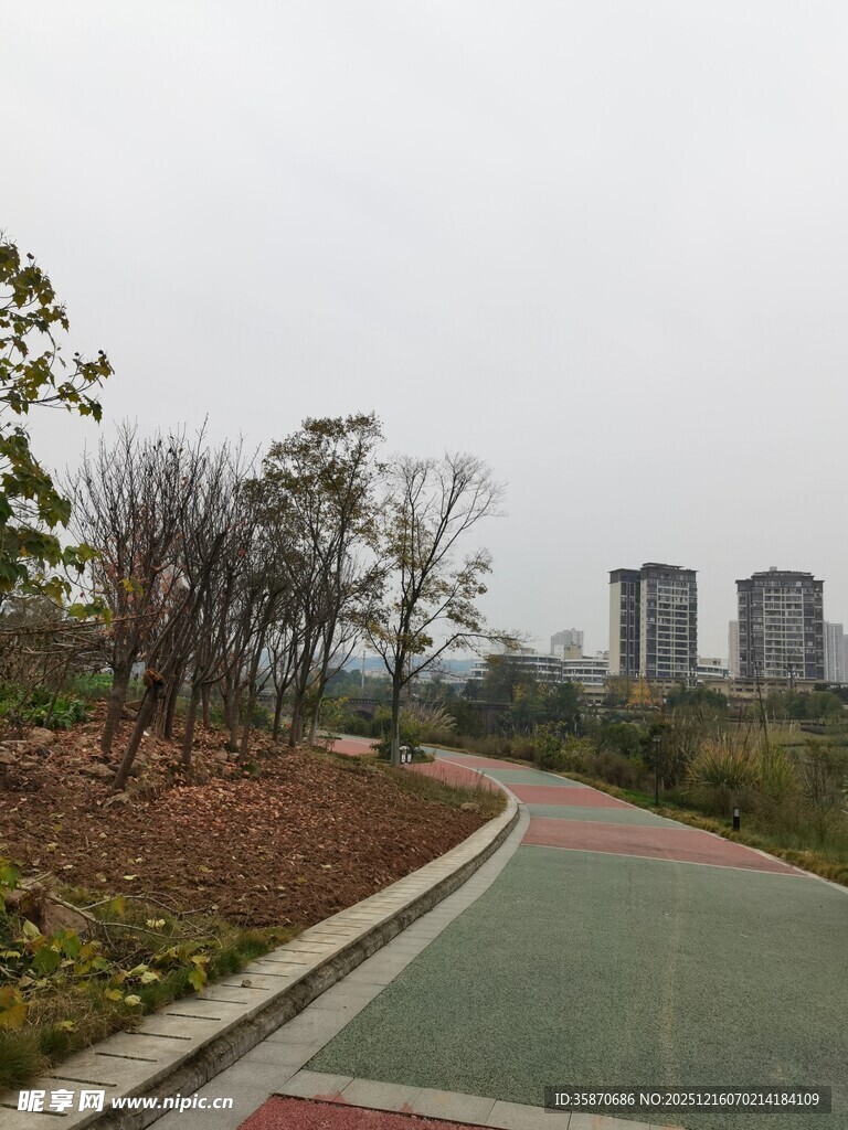 城市中的绿色骑行步道