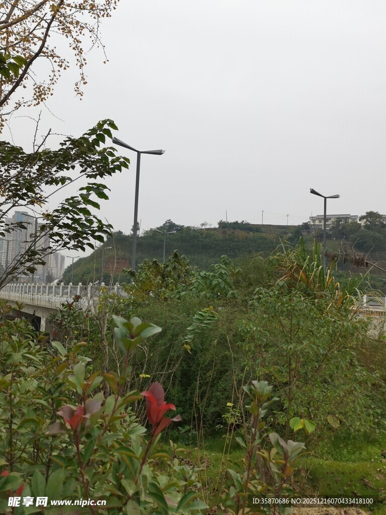 郊外绿植与远处景象