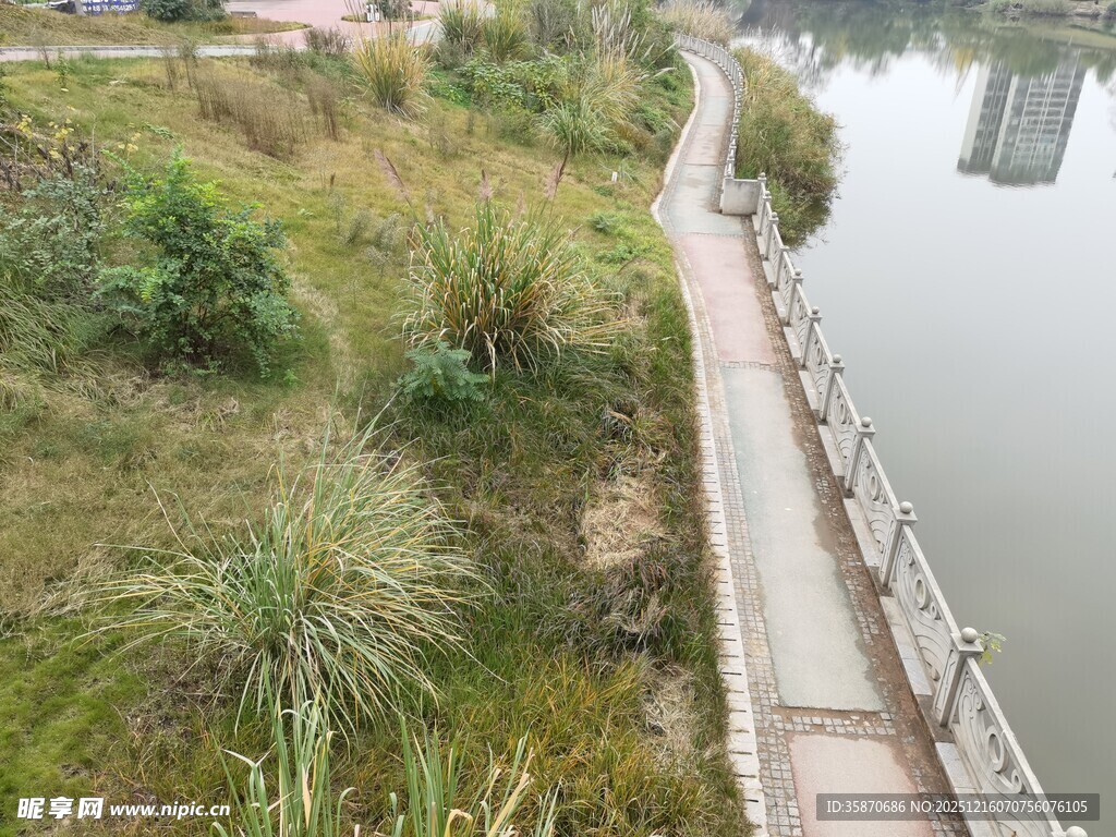 河畔步道自然绿意相伴