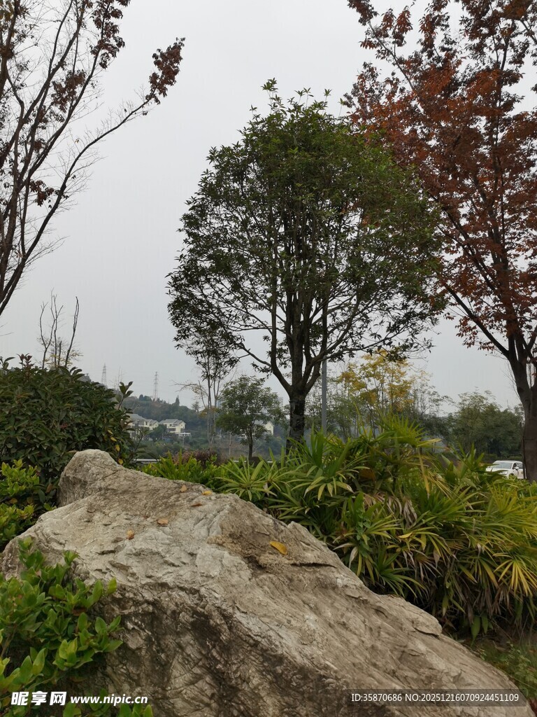 户外自然景观中的大石绿树