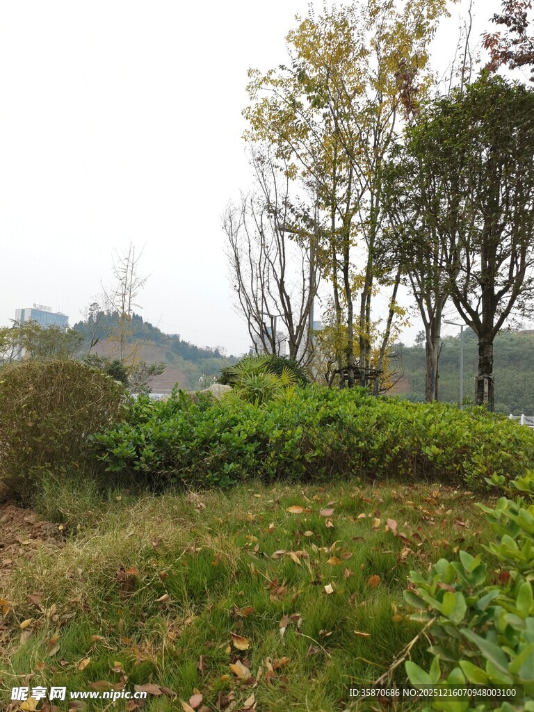 山间草木葱茏的自然景致