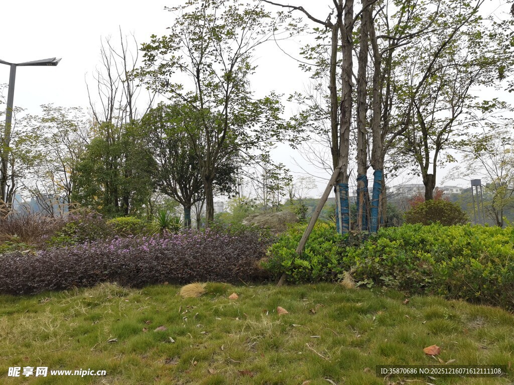 户外绿意盎然的园林景致