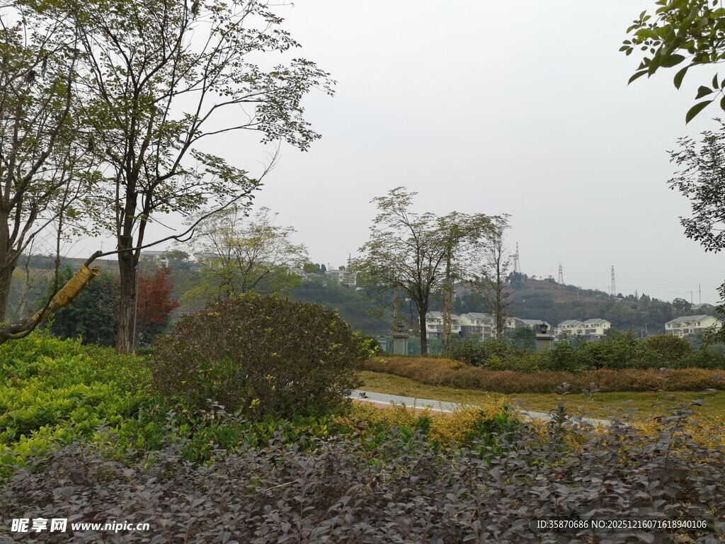 郊外绿意盎然的自然景致