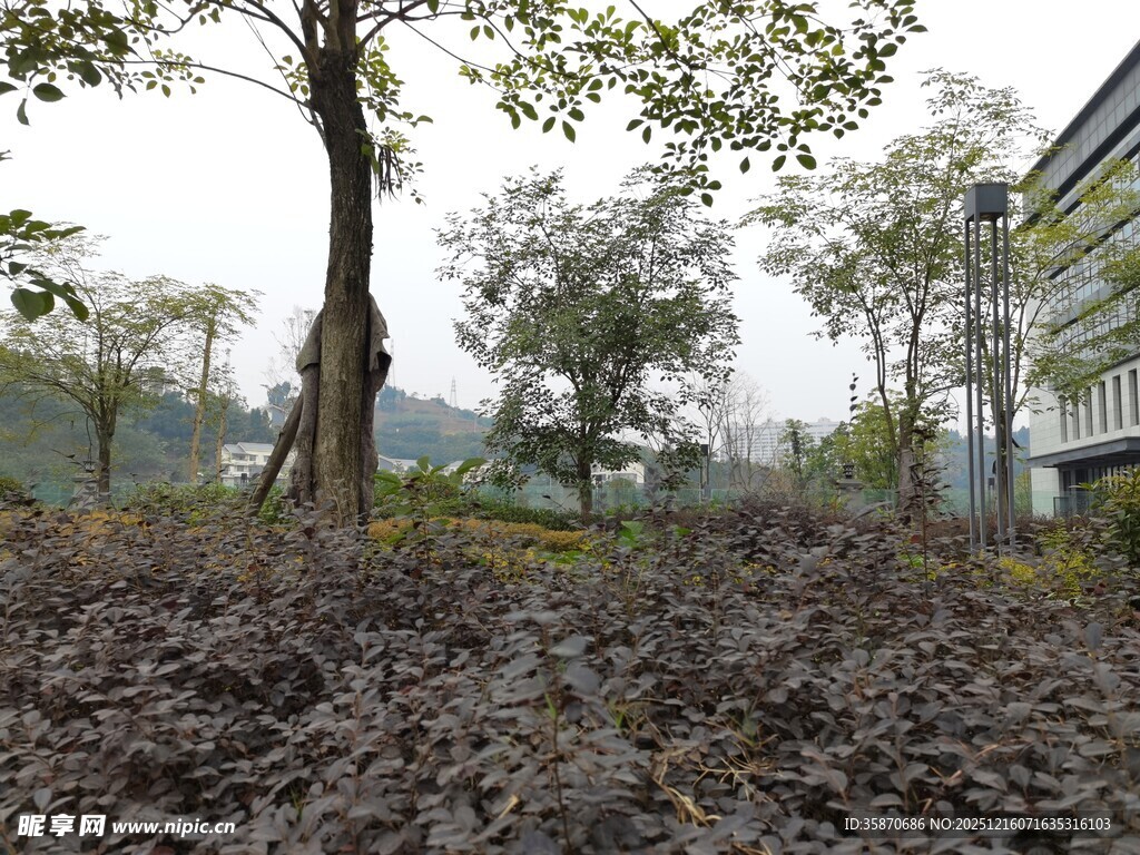 户外树林旁的建筑场景