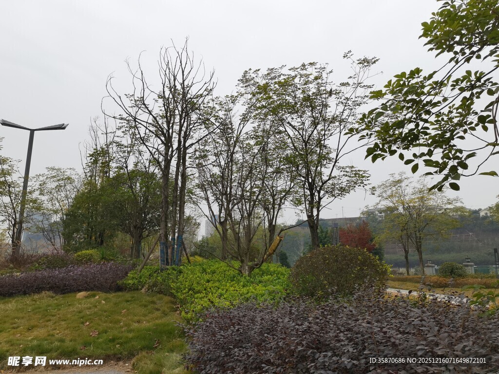 户外公园绿植景观