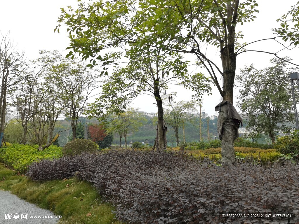 城市中的静谧园林景观