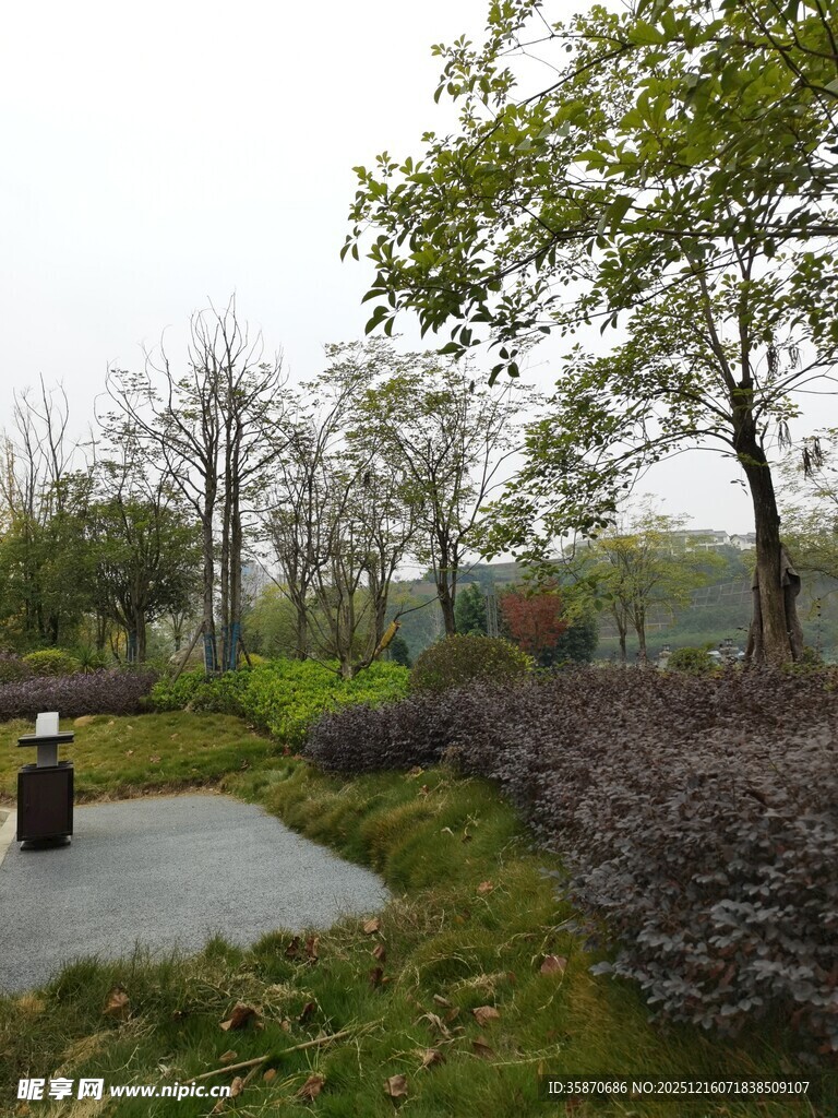 户外静谧绿植景观一角