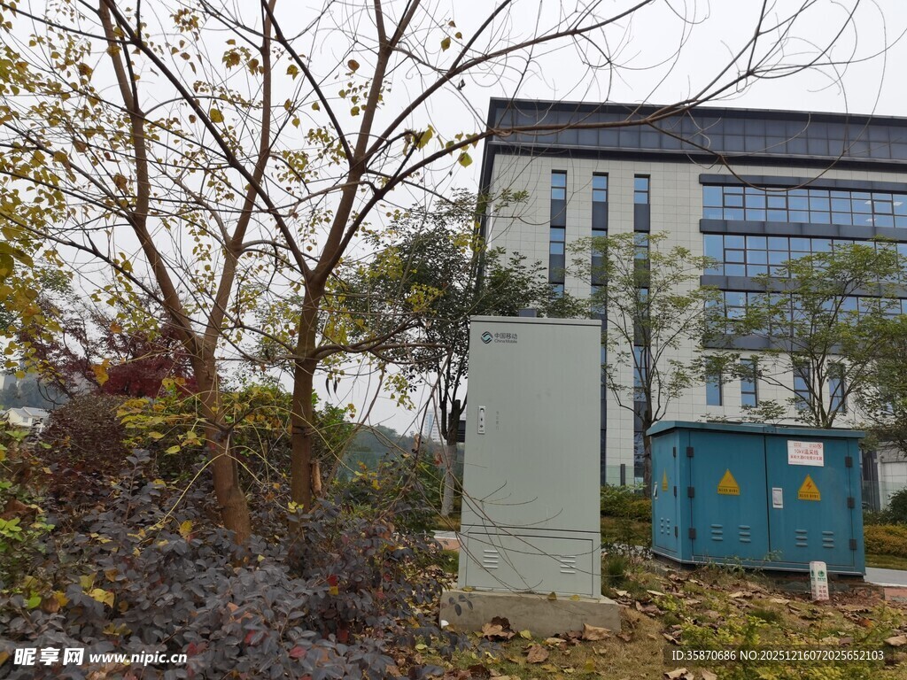 户外建筑旁的树木与设施