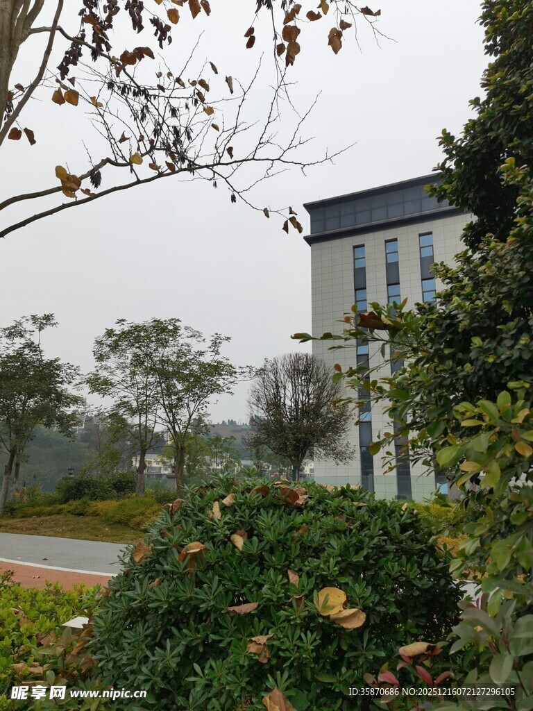 雾中建筑与绿植景观