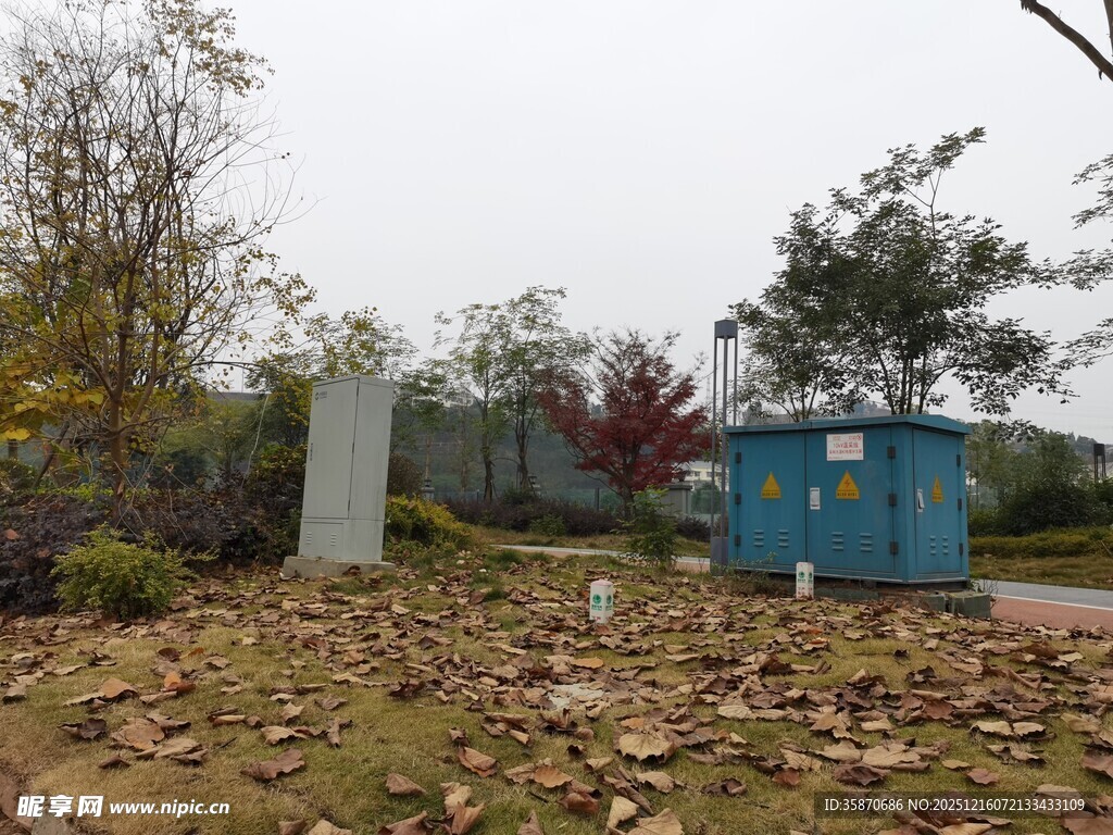 户外荒地中的设施与植被