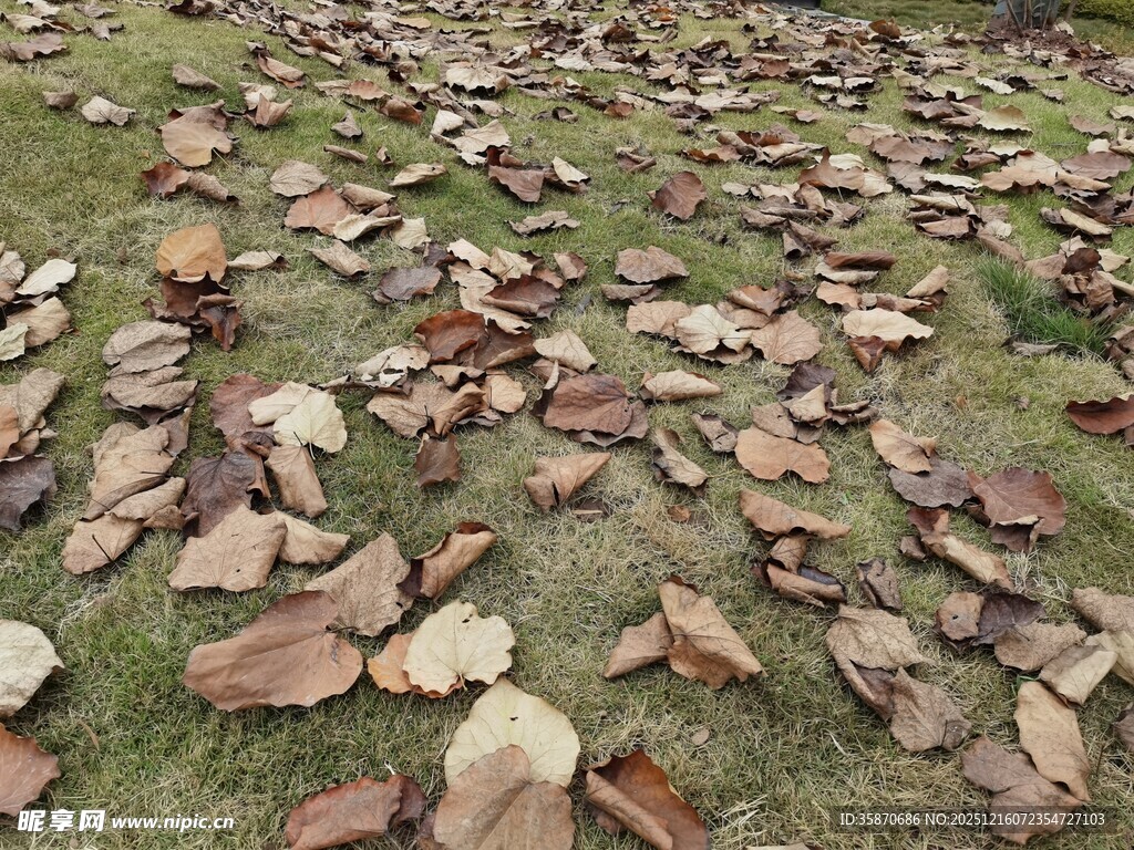 地面散落的碎石瓦片