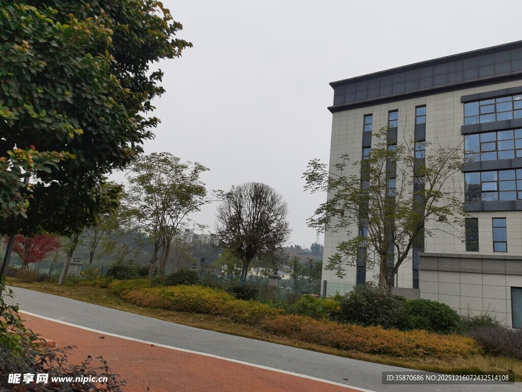 校园旁的建筑与道路景观