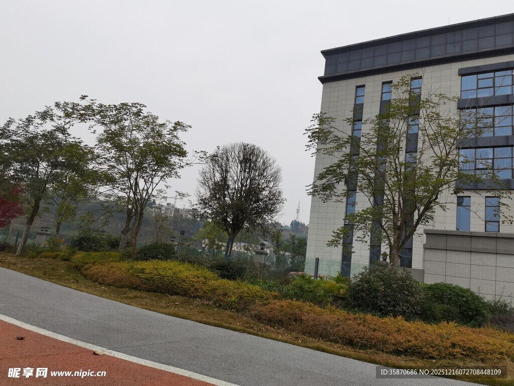 校园旁的建筑与道路景观