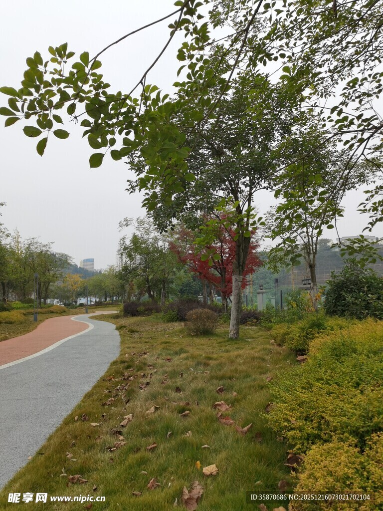 城市中的绿意小径景观