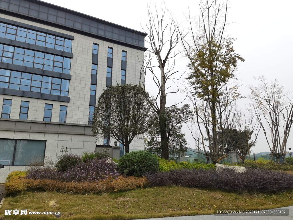 现代办公楼外的绿化景观