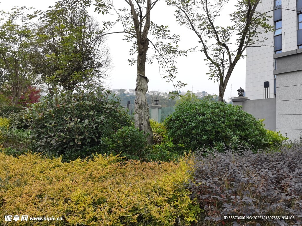 城市绿化带景观