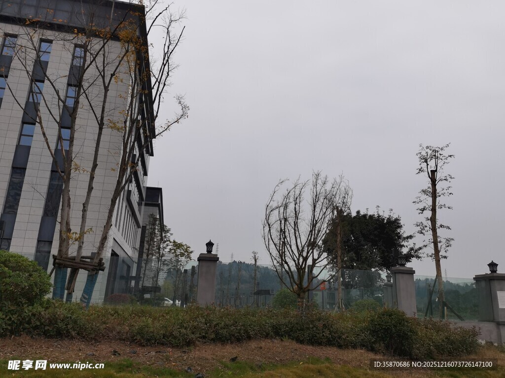 现代建筑旁的绿植景观